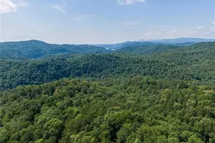 1275 Marie Dr, Ellijay, GA 30540 - Photo 107