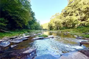 1275 Marie Dr, Ellijay, GA 30540 - Photo 23
