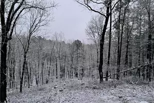 1275 Marie Dr, Ellijay, GA 30540 - Photo 47