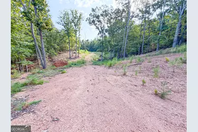 334 Lefevers Road, Cedartown, GA 30125 - Photo 3