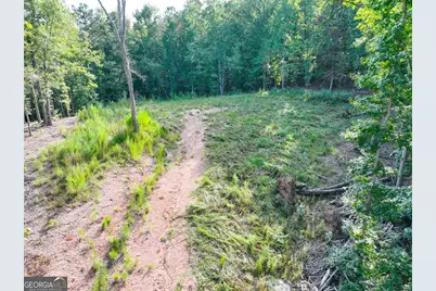 334 Lefevers Road, Cedartown, GA 30125 - Photo 23