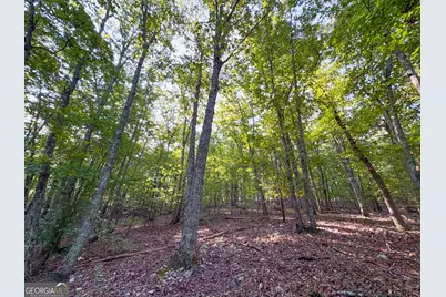 334 Lefevers Road, Cedartown, GA 30125 - Photo 25
