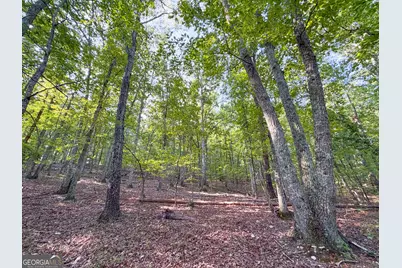 334 Lefevers Road, Cedartown, GA 30125 - Photo 11