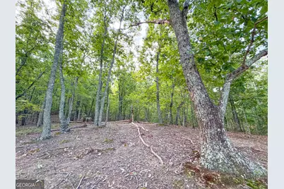 334 Lefevers Road, Cedartown, GA 30125 - Photo 27