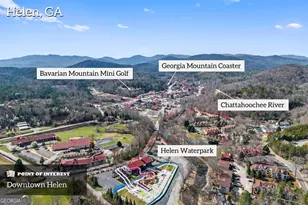 364 Rosen Strasse, Helen, GA 30545 - Photo 43