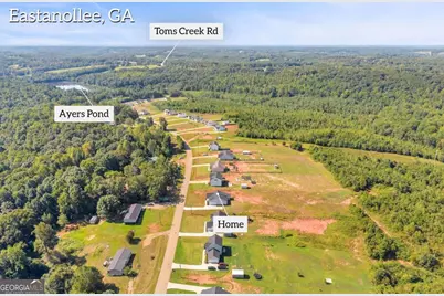 1177 Dortch Road, Eastanollee, GA 30538 - Photo 35