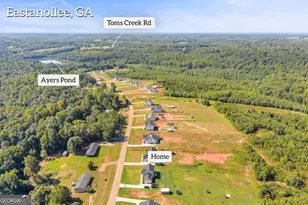 1177 Dortch Rd, Eastanollee, GA 30538 - Photo 35