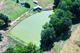 425 Vineyards Creek Church Rd, Comer, GA 30629 - Photo 51