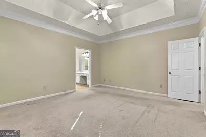 255 Weeping Willow Way, Tyrone, GA 30290 - Photo 21