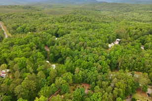 169 N Pinecrest Rd, Toccoa, GA 30577 - Photo 47