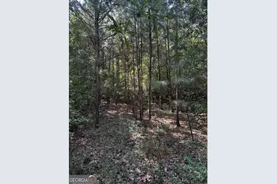 782 Sparta Highway, Eatonton, GA 31024 - Photo 9