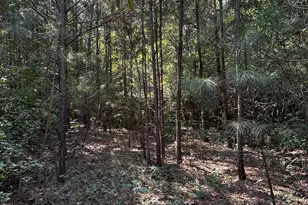 782 Sparta Hwy, Eatonton, GA 31024 - Photo 9