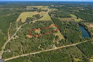 1311 Copeland Rd, Shiloh, GA 31826 - Photo 79