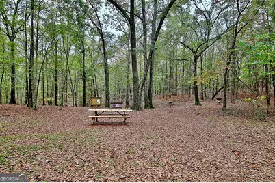 1311 Copeland Road, Shiloh, GA 31826 - Photo 75