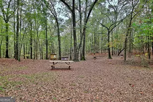 1311 Copeland Rd, Shiloh, GA 31826 - Photo 75