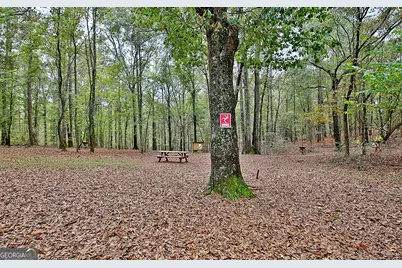 1311 Copeland Road, Shiloh, GA 31826 - Photo 73