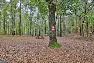 1311 Copeland Rd, Shiloh, GA 31826 - Photo 73