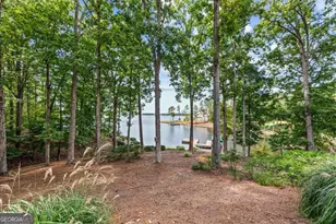 1041 Ruths Way, Greensboro, GA 30642 - Photo 63
