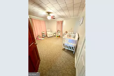 422 Ga Highway 87 N, Cochran, GA 31014 - Photo 9