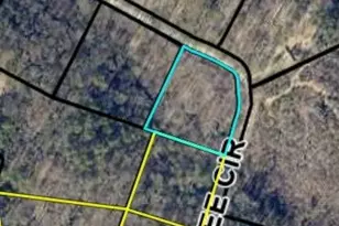 0 Benttree Circle, Toccoa, GA 30577 - Photo 1