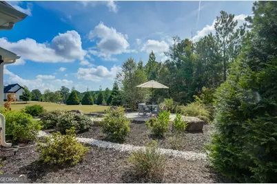 61 Forest Berry Court, Newnan, GA 30265 - Photo 53