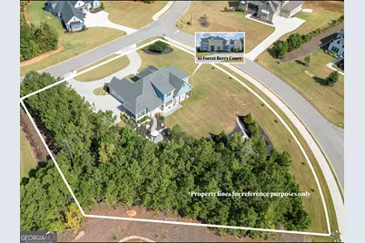 61 Forest Berry Court, Newnan, GA 30265 - Photo 61