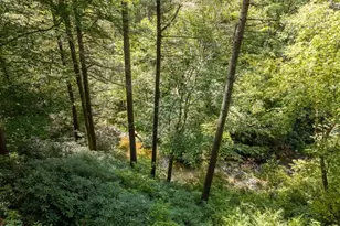488 Whispering Pne Ln, Cherrylog, GA 30522 - Photo 15