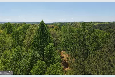 0 Ryo Mountain Road #9609, Fairmount, GA 30139 - Photo 43