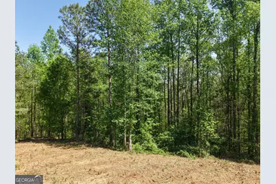 0 Ryo Mountain Road #9609, Fairmount, GA 30139 - Photo 49