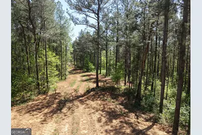 0 Ryo Mountain Road #9609, Fairmount, GA 30139 - Photo 17