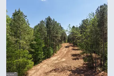 0 Ryo Mountain Road #9609, Fairmount, GA 30139 - Photo 9