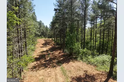 0 Ryo Mountain Road #9609, Fairmount, GA 30139 - Photo 19