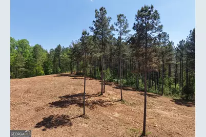 0 Ryo Mountain Road #9609, Fairmount, GA 30139 - Photo 5