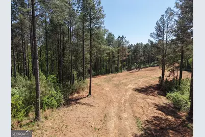 0 Ryo Mountain Road #9609, Fairmount, GA 30139 - Photo 23