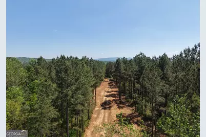 0 Ryo Mountain Road #9609, Fairmount, GA 30139 - Photo 11