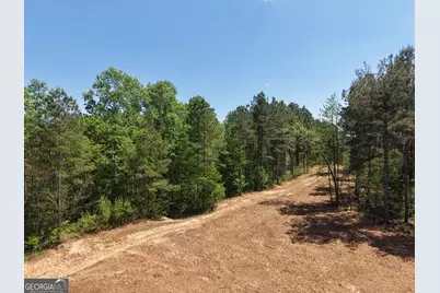 0 Ryo Mountain Road #9609, Fairmount, GA 30139 - Photo 7