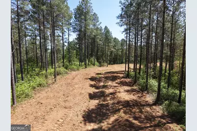 0 Ryo Mountain Road #9609, Fairmount, GA 30139 - Photo 21