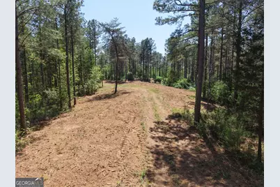 0 Ryo Mountain Road #9609, Fairmount, GA 30139 - Photo 33