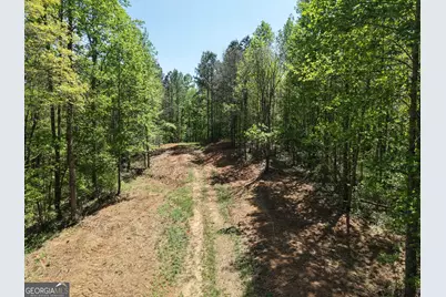 0 Ryo Mountain Road #9609, Fairmount, GA 30139 - Photo 51
