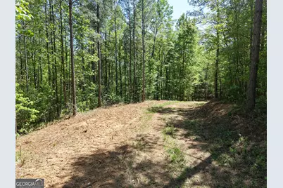 0 Ryo Mountain Road #9609, Fairmount, GA 30139 - Photo 53