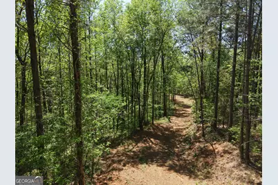 0 Ryo Mountain Road #9609, Fairmount, GA 30139 - Photo 39