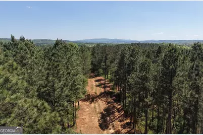 0 Ryo Mountain Road #9609, Fairmount, GA 30139 - Photo 15