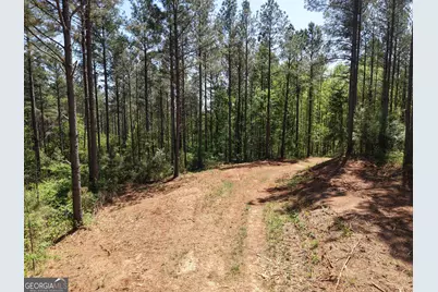 0 Ryo Mountain Road #9609, Fairmount, GA 30139 - Photo 37