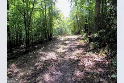 343 Hollybrook Road, Dahlonega, GA 30533 - Photo 11