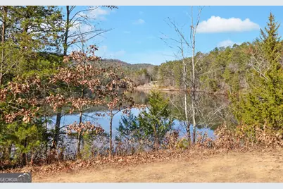 990 Hickory Nut Mountain, Tallulah Falls, GA 30573 - Photo 49