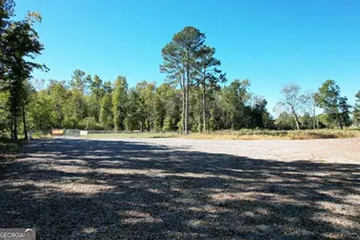 800 Hair Lake Road, Summerville, GA 30747 - Photo 3