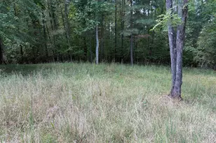 #41 Meadow Brooke Dr, Young Harris, GA 30582 - Photo 1