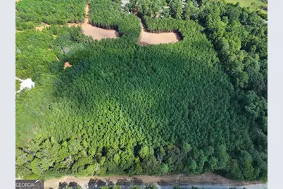 0 Cashtown Road - Tract 4 #TRACT 4, Aragon, GA 30104 - Photo 23