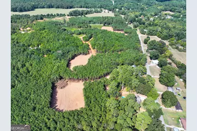0 Cashtown Road - Tract 4 #TRACT 4, Aragon, GA 30104 - Photo 5