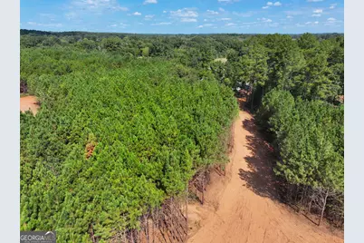 0 Cashtown Road - Tract 4 #TRACT 4, Aragon, GA 30104 - Photo 19